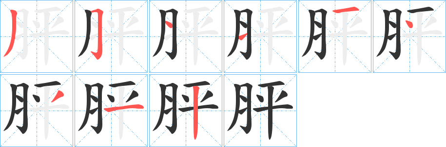 胓字的笔顺分步演示