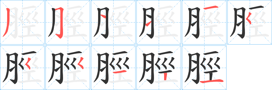 脛字的笔顺分步演示