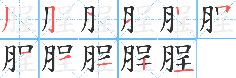 脭字的笔顺分步演示