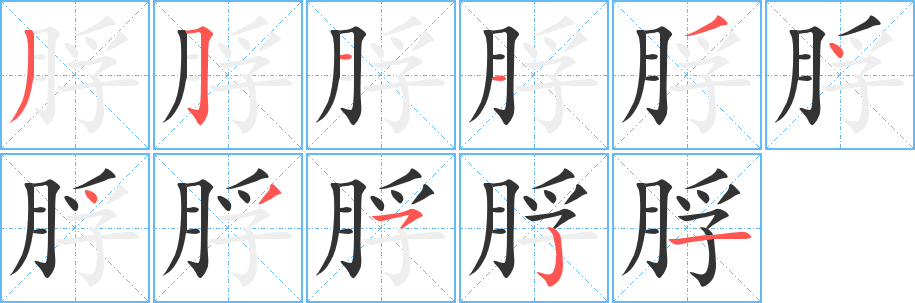脬字的笔顺分步演示