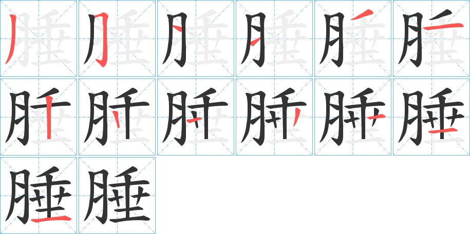腄字的笔顺分步演示