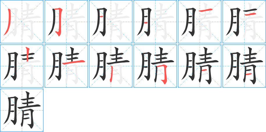 腈字的笔顺分步演示