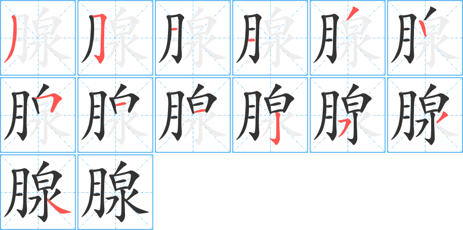 腺字的笔顺分步演示