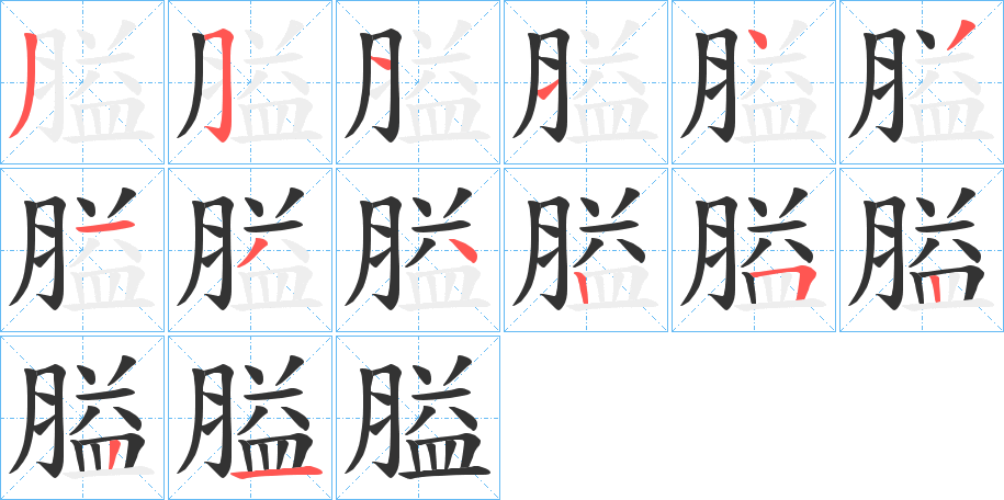 膉字的笔顺分步演示