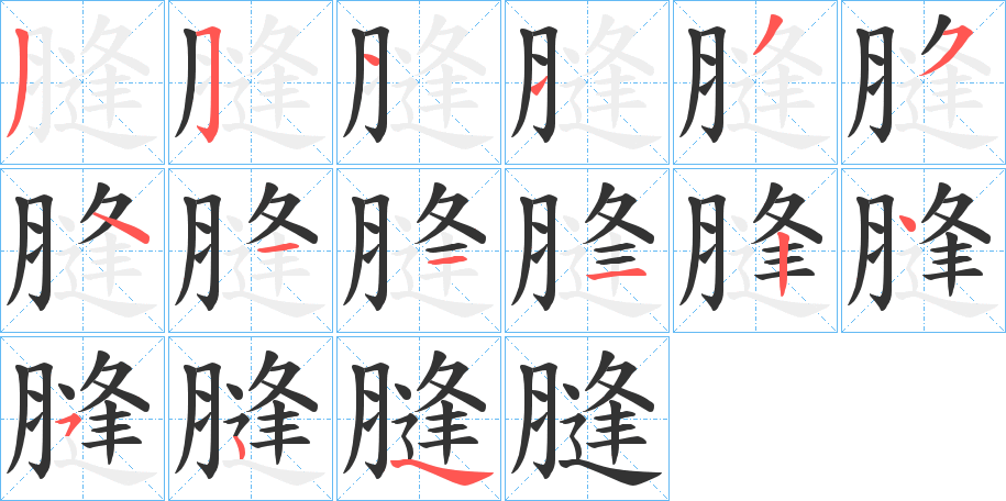 膖字的笔顺分步演示