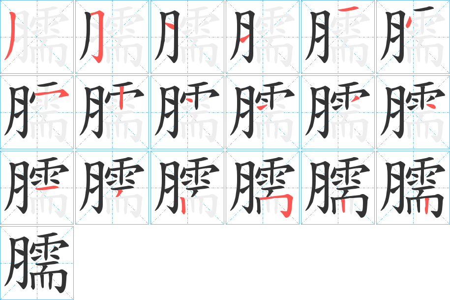 臑字的笔顺分步演示