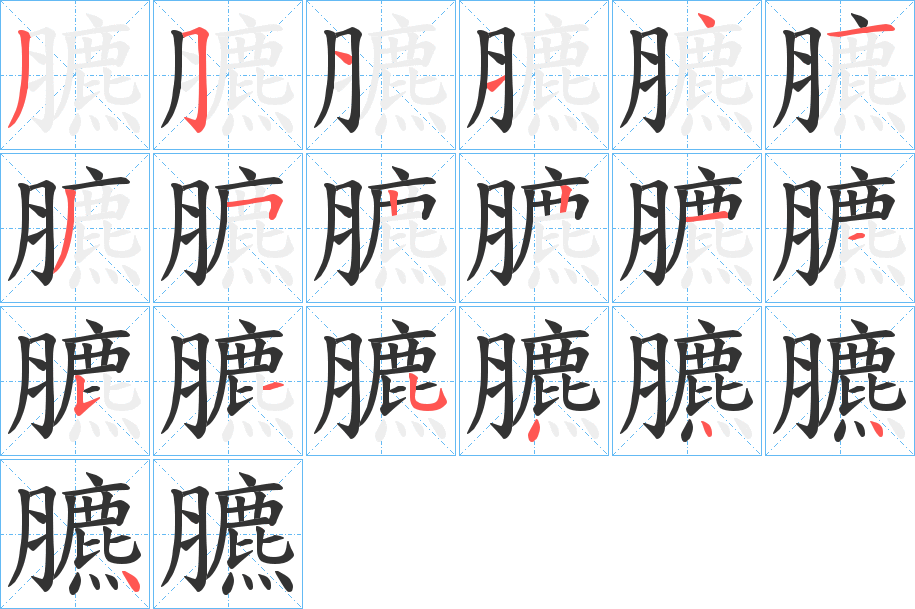 臕字的笔顺分步演示