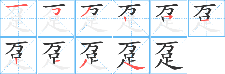 趸字的笔顺分步演示