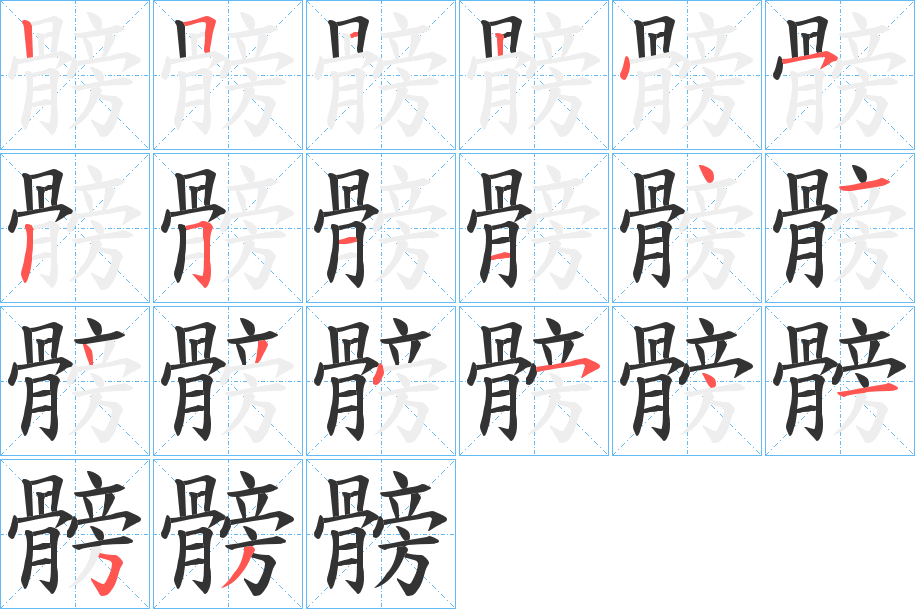髈字的笔顺分步演示