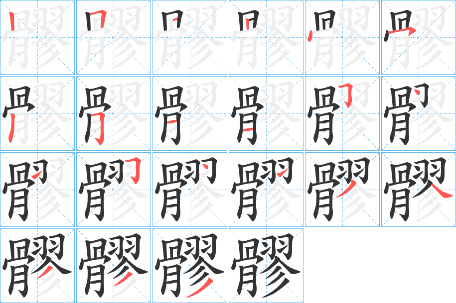 髎字的笔顺分步演示