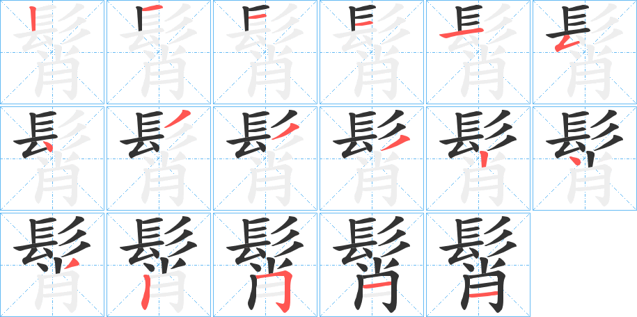 髾字的笔顺分步演示
