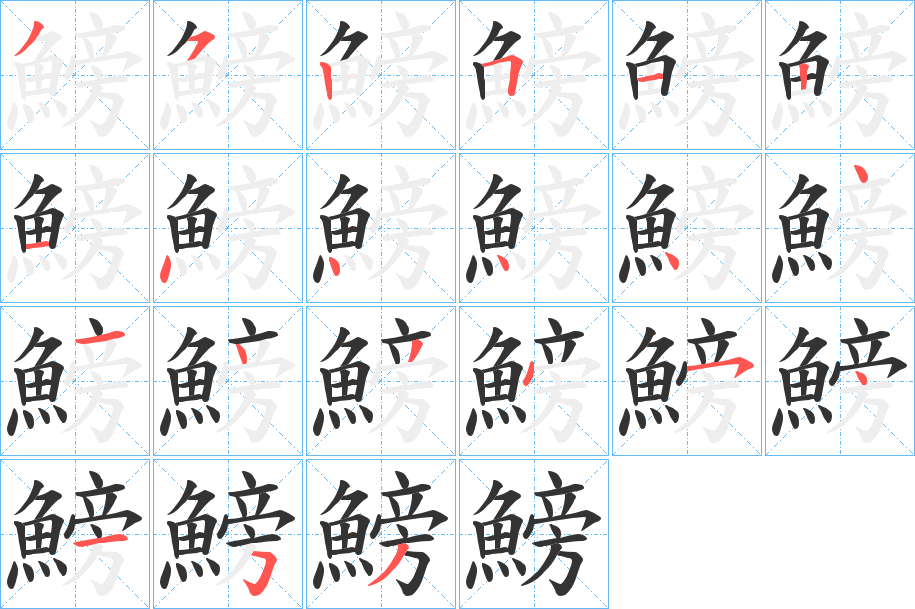鰟字的笔顺分步演示
