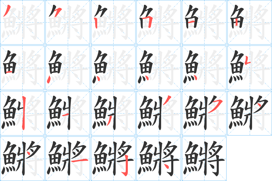 鱂字的笔顺分步演示