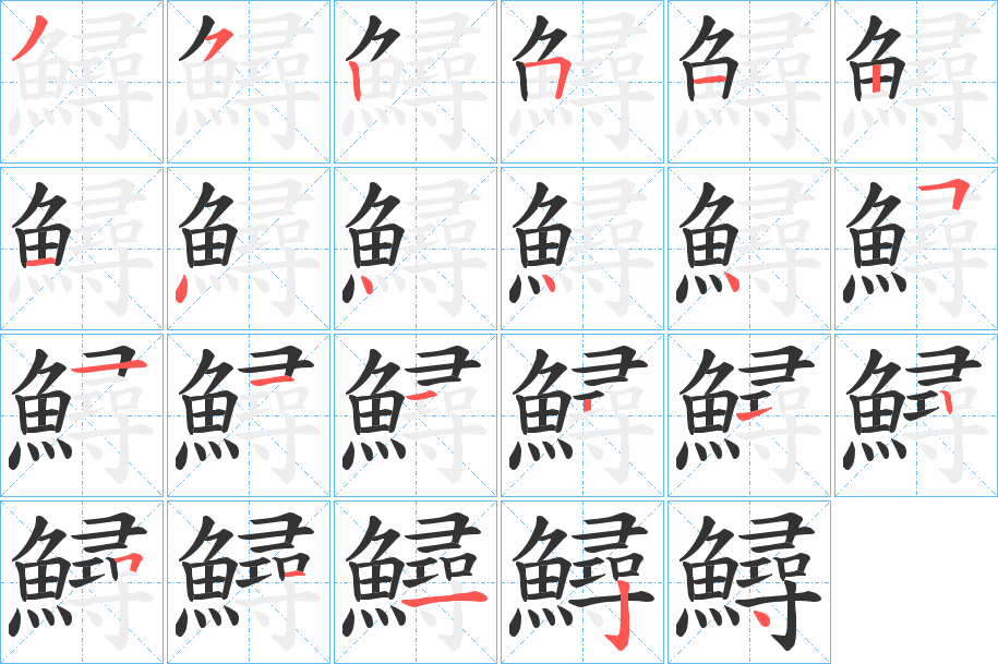 鱘字的笔顺分步演示