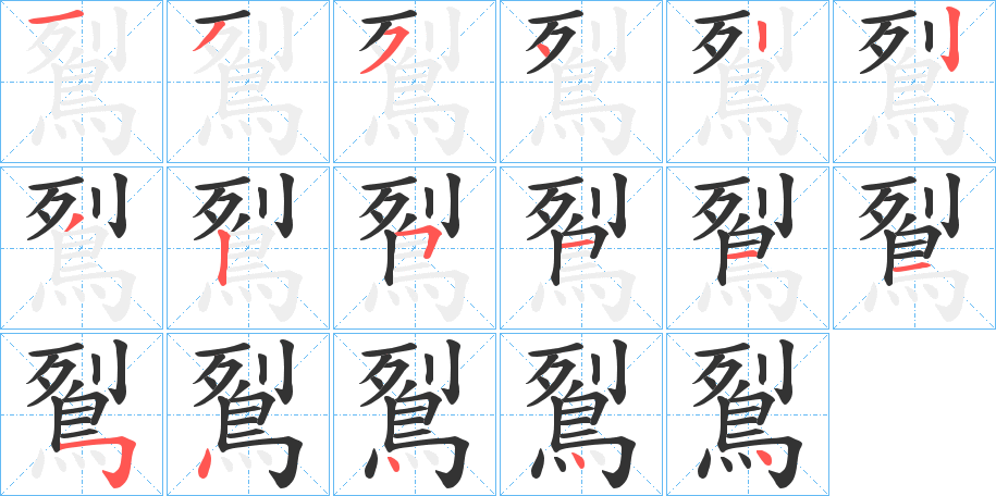 鴷字的笔顺分步演示