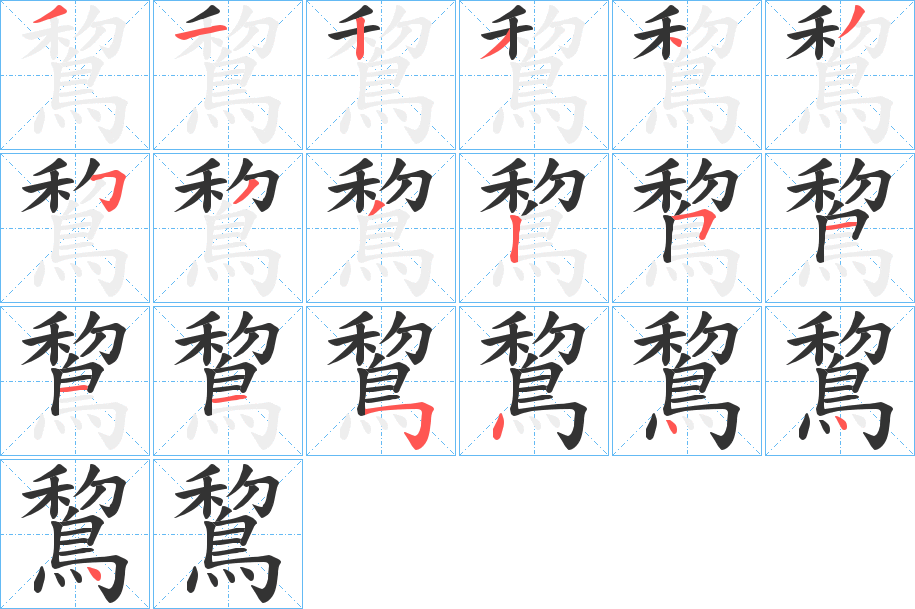 鵹字的笔顺分步演示