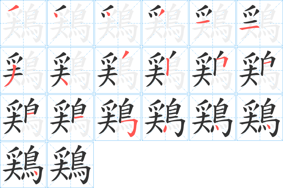 鶏字的笔顺分步演示