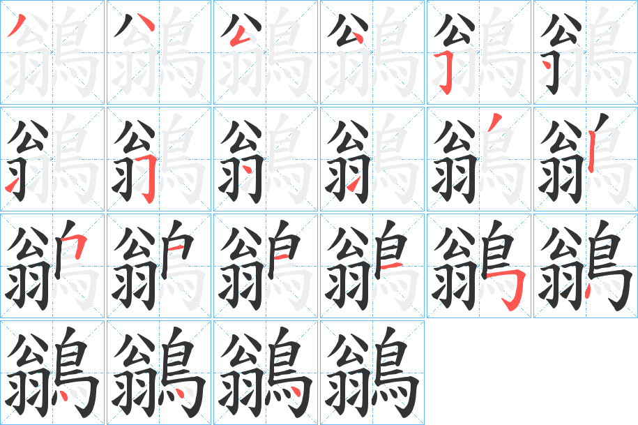 鶲字的笔顺分步演示