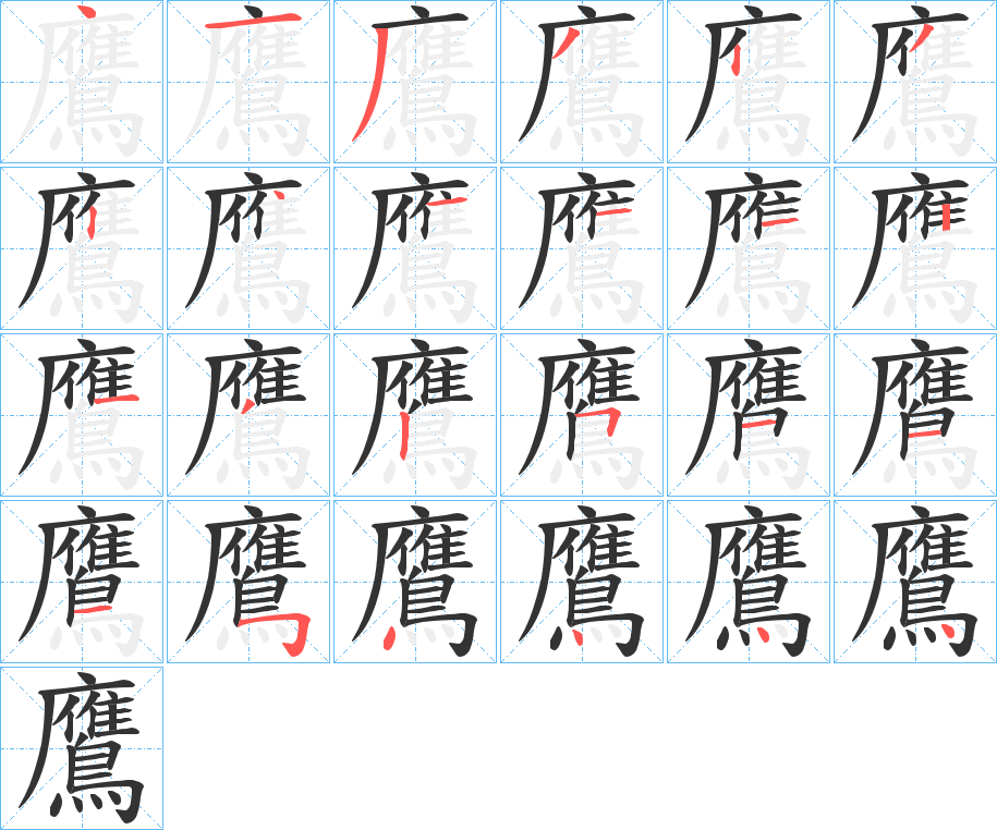 鷹字的笔顺分步演示