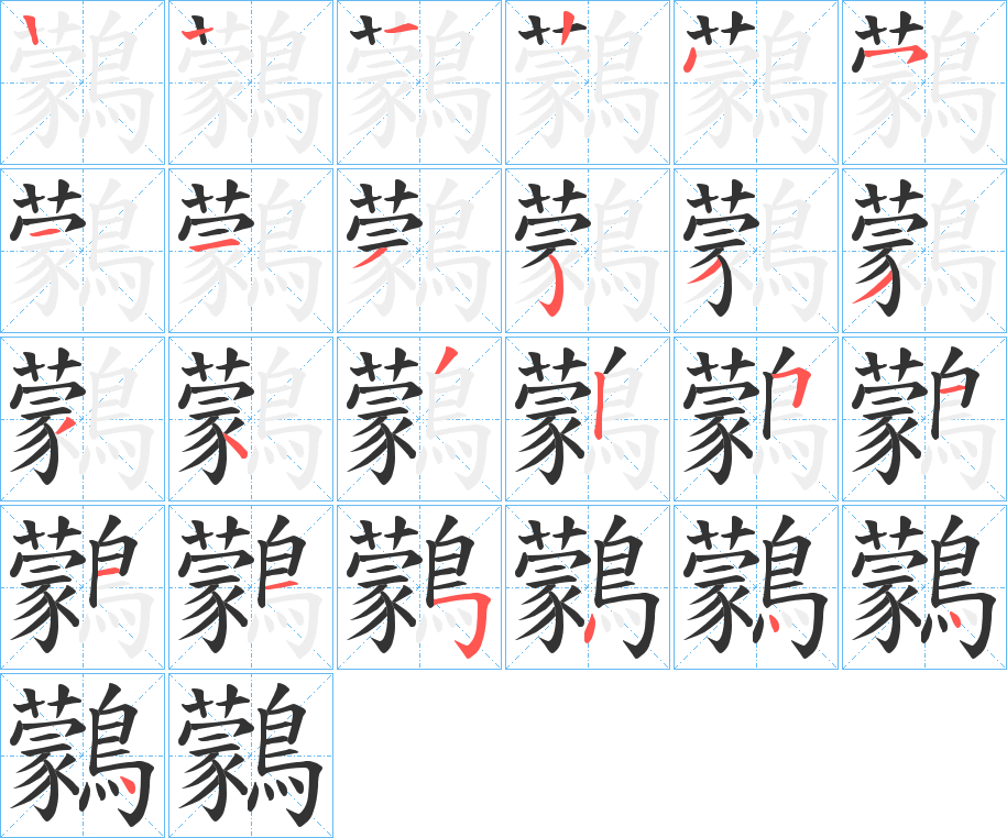 鸏字的笔顺分步演示