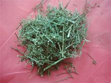 大肺筋草的功效与作用