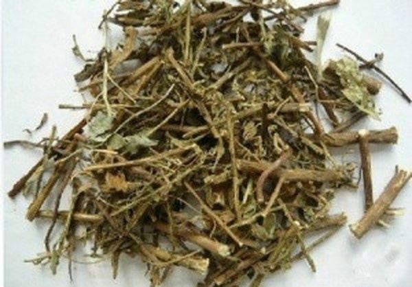 鹿耳翎的功效与作用