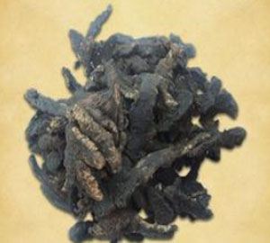 鲜地黄的功效与作用