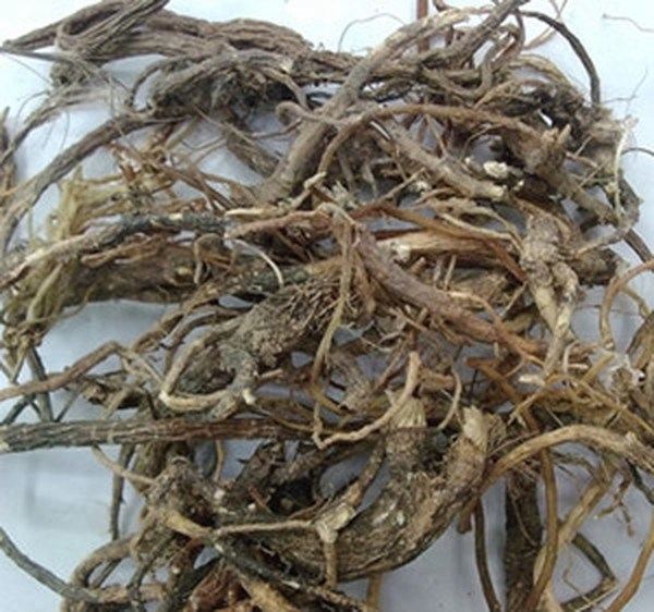 野前胡的功效与作用