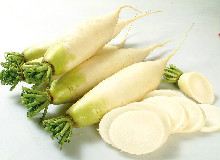 莱菔的功效与作用