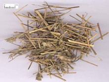 香茅的功效与作用