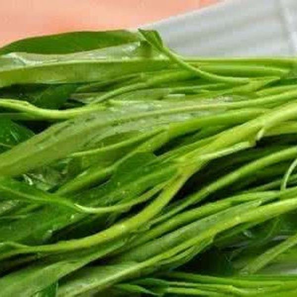 蕹菜根的功效与作用