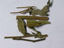 山芝麻的功效与作用