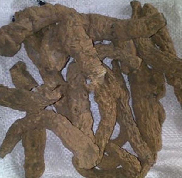 万年青根的功效与作用