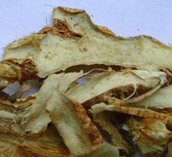 鹿蹄根的功效与作用