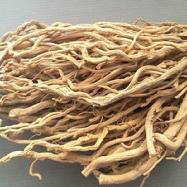 大青根的功效与作用