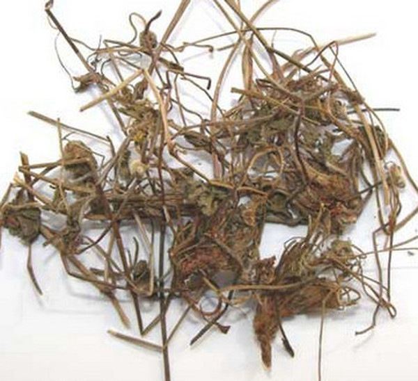 蛇莓的功效与作用