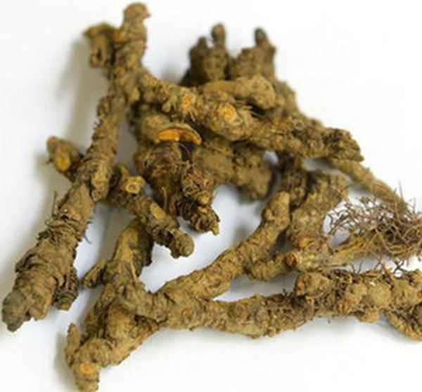 火焰子的功效与作用