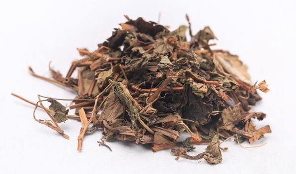 鱼腥草的功效与作用
