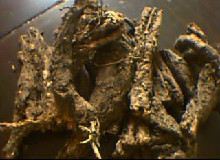 翼首草的功效与作用