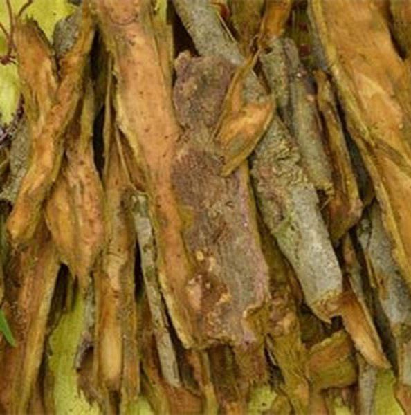 木蝴蝶树皮的功效与作用