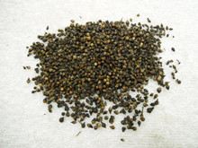 水翁花的功效与作用