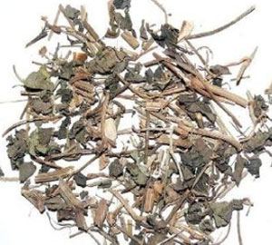一枝黄花的功效与作用