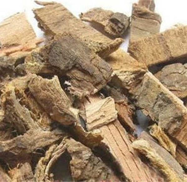 榆白皮的功效与作用