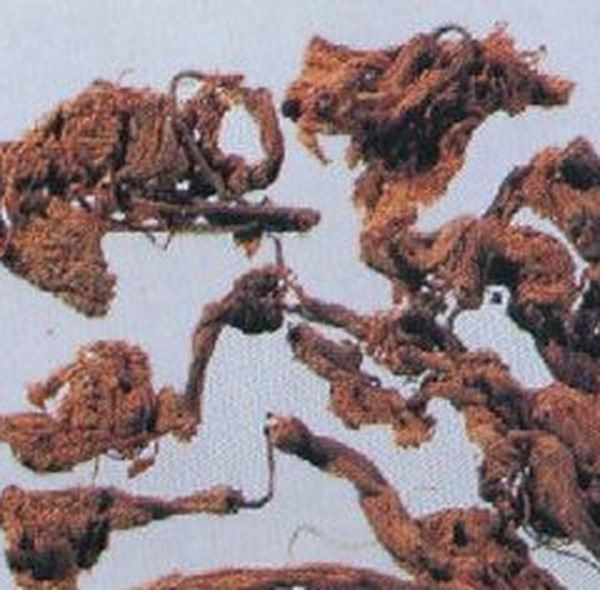 蛇百子的功效与作用