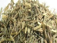 芸香草的功效与作用