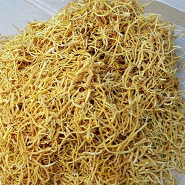 虫笋的功效与作用