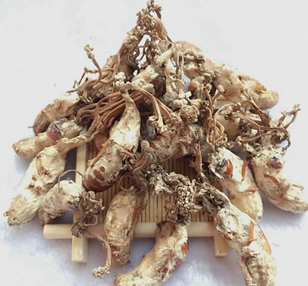 蝉花的功效与作用