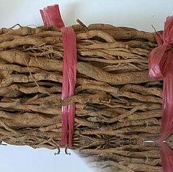 山胡椒根的功效与作用