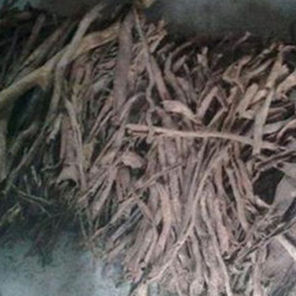 榧根皮的功效与作用