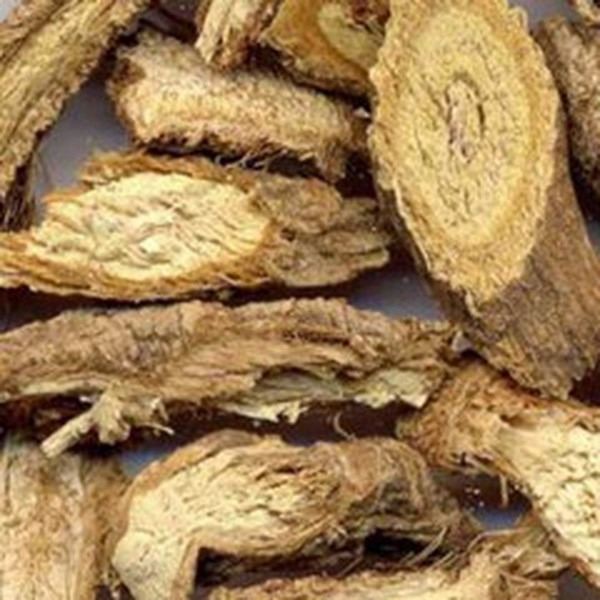川防风的功效与作用